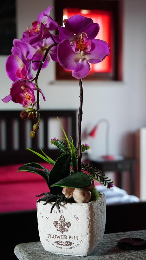 Bed & Breakfast Milu Cuneo Exterior foto