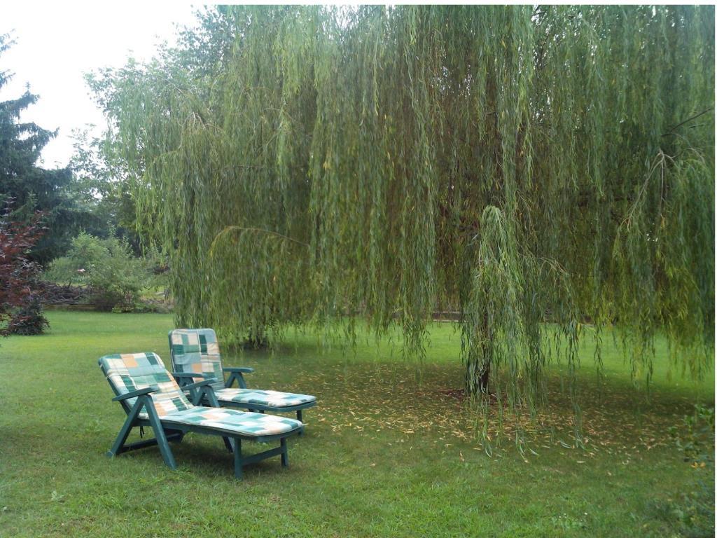 Bed & Breakfast Milu Cuneo Exterior foto